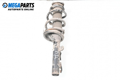 Macpherson shock absorber for Ford Transit Platform VI (04.2006 - 12.2014), truck, position: front - right