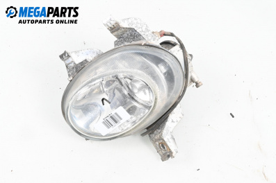 Nebelleuchte for Peugeot 206 Hatchback (08.1998 - 12.2012), hecktür, position: links