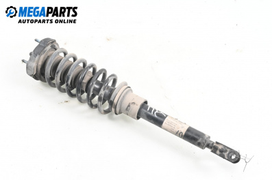 Macpherson shock absorber for Mercedes-Benz CLS-Class Sedan (C219) (10.2004 - 02.2011), sedan, position: front - right