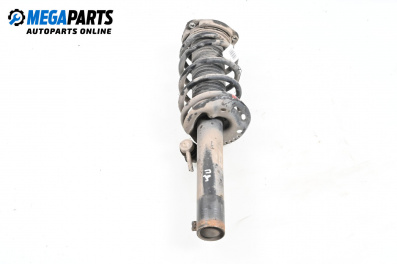 MacPherson-federbein for Audi A3 Hatchback II (05.2003 - 08.2012), hecktür, position: rechts, vorderseite