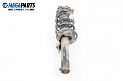 Macpherson shock absorber for Audi A3 Hatchback II (05.2003 - 08.2012), hatchback, position: front - right