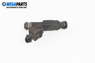 Gasoline fuel injector for BMW X5 Series E53 (05.2000 - 12.2006) 4.4 i, 286 hp