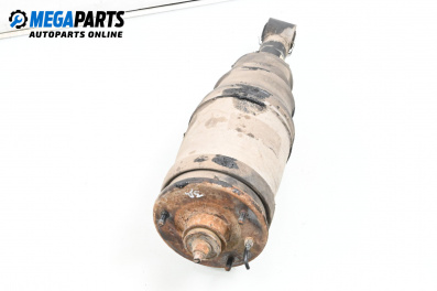 Amortizor pneumatic for Land Rover Range Rover Sport I (02.2005 - 03.2013), suv, position: dreaptă - spate