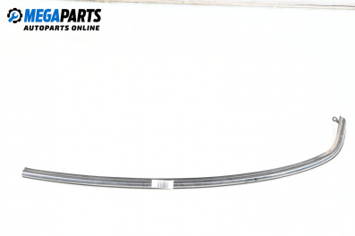 Außenleiste for Mini Hatchback I (R50, R53) (06.2001 - 09.2006), hecktür, position: links