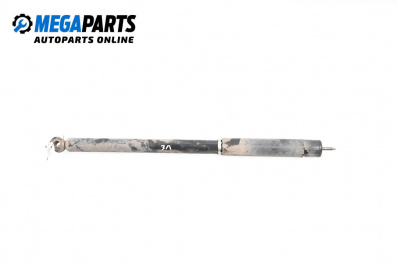 Shock absorber for Fiat Sedici mini SUV (06.2006 - 10.2014), suv, position: rear - left