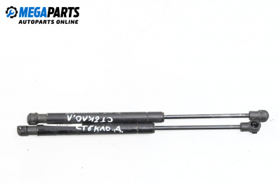 Stoßdämpfer heckklappe for Chevrolet Captiva SUV (06.2006 - ...)