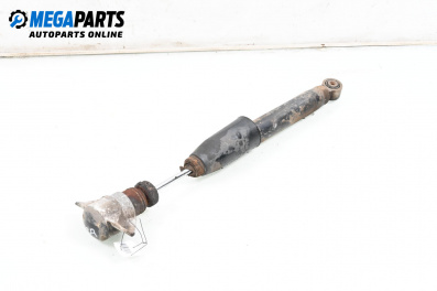 Shock absorber for Audi Q5 SUV I (11.2008 - 12.2017), suv, position: rear - right