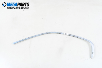 Außenleiste for BMW X5 Series E53 (05.2000 - 12.2006), suv, position: links