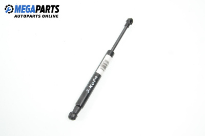 Door damper for BMW X5 Series E70 (02.2006 - 06.2013)