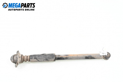 Shock absorber for Volkswagen New Beetle Hatchback (01.1998 - 09.2010), hatchback, position: rear - left