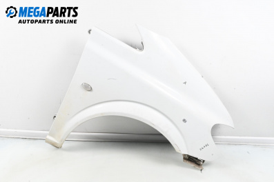 Fender for Mercedes-Benz Vito Box (639) (09.2003 - 12.2014), 3 doors, truck, position: front - right