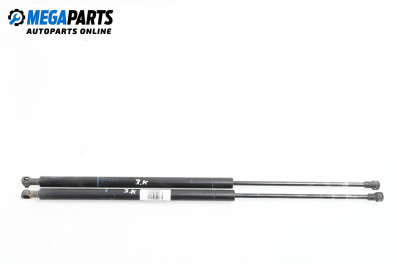 Tije telescopice, portbagaj for Peugeot 206 Station Wagon (07.2002 - ...)