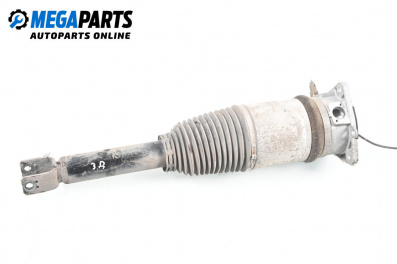 Luft-stoßdämpfer for Volkswagen Phaeton Sedan (04.2002 - 03.2016), sedan, position: rechts, rückseite