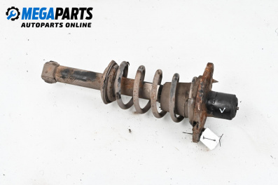 Macpherson shock absorber for Volkswagen Passat IV Sedan B5.5 (10.2000 - 12.2005), sedan, position: rear - left