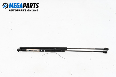 Tije telescopice, portbagaj for Renault Megane Scenic (10.1996 - 12.2001)