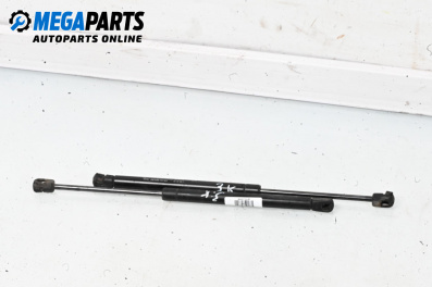 Tije telescopice, portbagaj for Chevrolet Aveo Hatchback II (01.2007 - 12.2011)