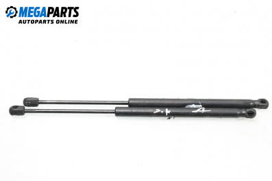 Tije telescopice, portbagaj for Hyundai Santa Fe I SUV (11.2000 - 03.2006)