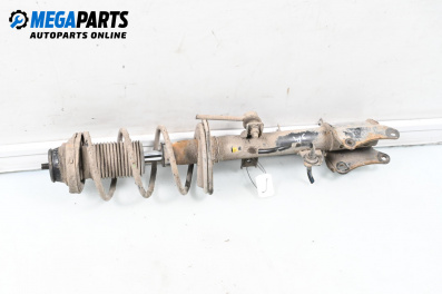 MacPherson-federbein for Alfa Romeo 147 Hatchback (10.2000 - 12.2010), hecktür, position: rechts, rückseite
