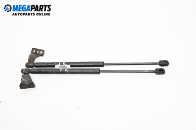 Tije telescopice, portbagaj for Hyundai Santa Fe I SUV (11.2000 - 03.2006)