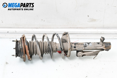 Macpherson shock absorber for Ford Focus I Hatchback (10.1998 - 12.2007), hatchback, position: front - left