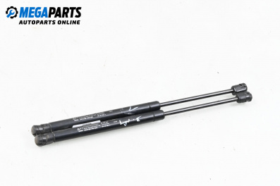 Tije telescopice, portbagaj for Chevrolet Aveo Hatchback II (01.2007 - 12.2011)