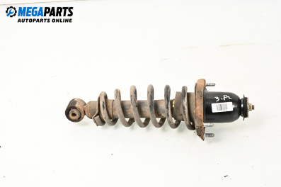 MacPherson-federbein for Toyota Avensis II Station Wagon (04.2003 - 11.2008), combi, position: rechts, rückseite