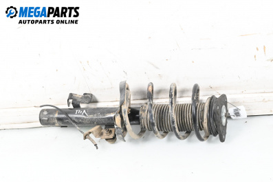 Macpherson shock absorber for Ford Focus II Estate (07.2004 - 09.2012), station wagon, position: front - left