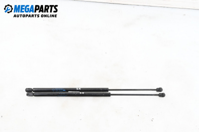 Boot lid dampers for Renault Megane Scenic (10.1996 - 12.2001)