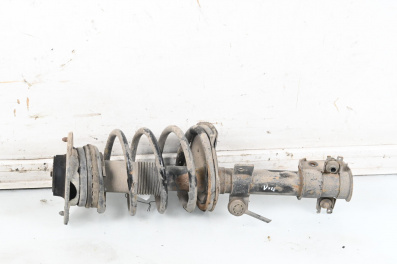 MacPherson-federbein for Fiat Multipla Multivan (04.1999 - 06.2010), minivan, position: links, vorderseite