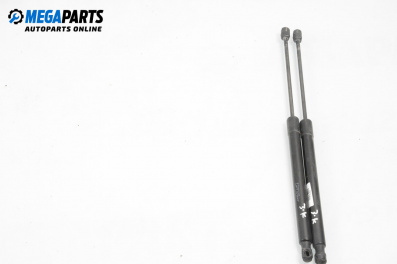 Stoßdämpfer heckklappe for Mercedes-Benz B-Class Hatchback I (03.2005 - 11.2011)