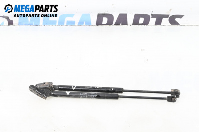 Boot lid dampers for DR DR 1 Hatchback (03.2010 - ...)