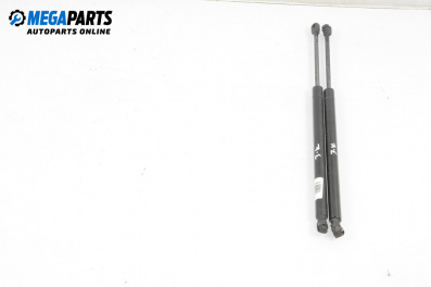 Boot lid dampers for Mercedes-Benz M-Class SUV (W164) (07.2005 - 12.2012)