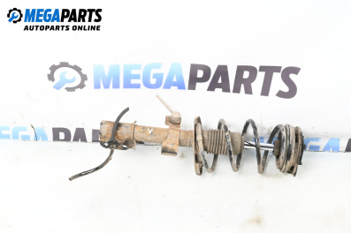 Macpherson shock absorber for Renault Clio III Hatchback (01.2005 - 12.2012), hatchback, position: front - left