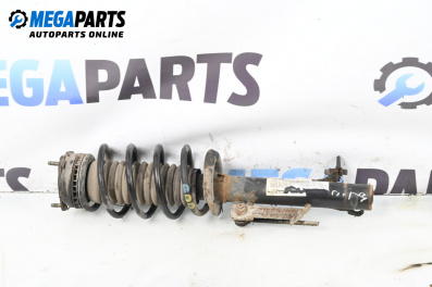 Macpherson shock absorber for Ford Fusion Hatchback (08.2002 - 12.2012), hatchback, position: front - right