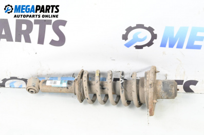 Macpherson shock absorber for Audi A6 Avant C5 (11.1997 - 01.2005), station wagon, position: rear - left