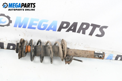 Macpherson shock absorber for Volkswagen Golf V Hatchback (10.2003 - 02.2009), hatchback, position: front - right
