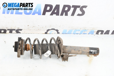 Macpherson shock absorber for Audi A3 Hatchback II (05.2003 - 08.2012), hatchback, position: front - left