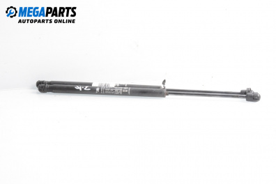 Boot lid dampers for Fiat Punto Hatchback II (09.1999 - 07.2012)
