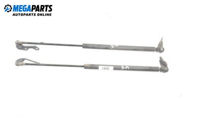 Boot lid dampers for Toyota Yaris Hatchback I (01.1999 - 12.2005)
