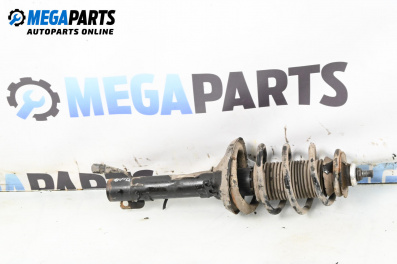 Macpherson shock absorber for Audi A3 Hatchback I (09.1996 - 05.2003), hatchback, position: front - right