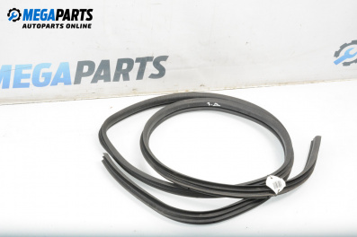 Türdichtung for Renault Scenic I Minivan (09.1999 - 07.2010), 5 türen, minivan, position: rechts, rückseite