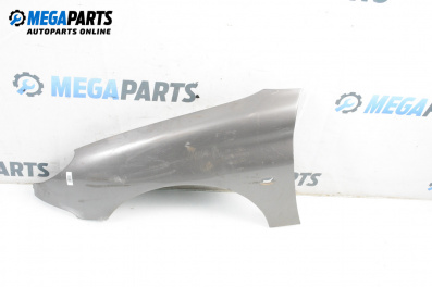 Fender for Peugeot 206 Hatchback (08.1998 - 12.2012), 3 doors, hatchback, position: front - left