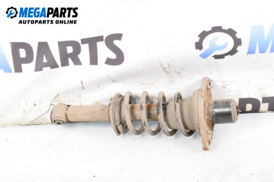 MacPherson-federbein for Volkswagen Passat IV Sedan B5.5 (10.2000 - 12.2005), sedan, position: rechts, rückseite