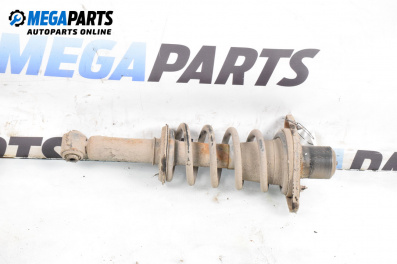 MacPherson-federbein for Volkswagen Passat IV Sedan B5.5 (10.2000 - 12.2005), sedan, position: links, rückseite
