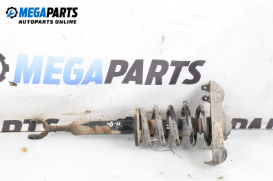 Macpherson shock absorber for Volkswagen Passat IV Sedan B5.5 (10.2000 - 12.2005), sedan, position: front - right