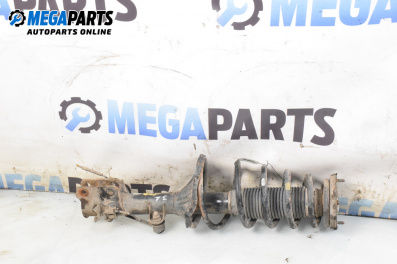 Amortizor McPherson for Hyundai Tucson SUV I (06.2004 - 11.2010), suv, position: dreaptă - spate