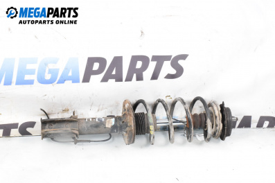 Macpherson shock absorber for Lancia Musa Minivan (10.2004 - 09.2012), minivan, position: front - right