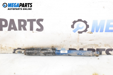Amortizor for Mercedes-Benz C-Class Sedan (W202) (03.1993 - 05.2000), sedan, position: dreaptă - spate