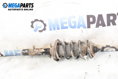 MacPherson-federbein for Skoda Octavia I Combi (07.1998 - 12.2010), combi, position: rechts, vorderseite