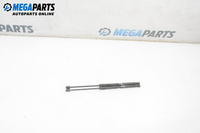 Tije telescopice, portbagaj for Audi A6 Avant C6 (03.2005 - 08.2011)